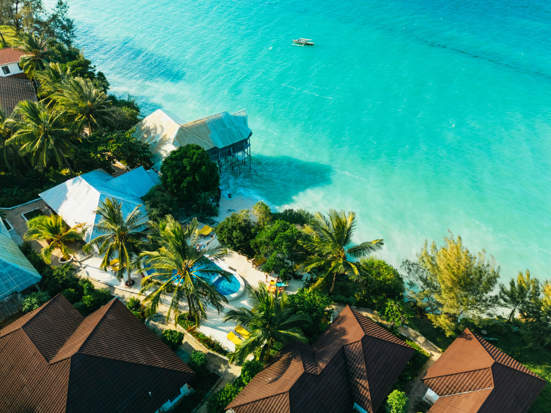 An aerial view of a pristine Riviera Maya beach with powder-white sand, coconut palms, and translucent turquoise surf