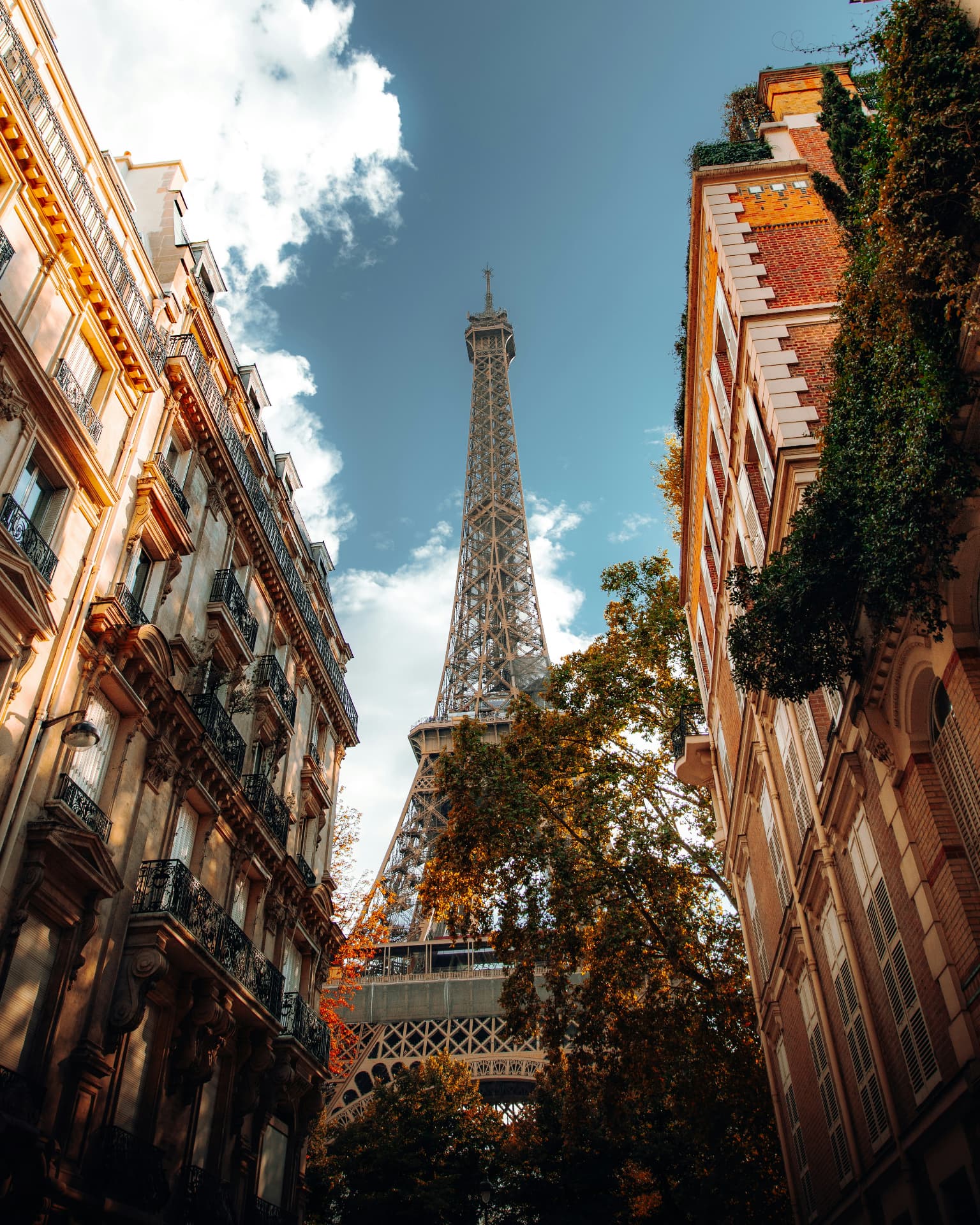 The Eiffel Tower soaring between classic Parisian apartment buildings and autumn trees beneath a bright blue sky
